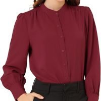 Women's Mandarin Collar Office Top Long Sleeve Button Down Shirt