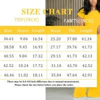 2 Piece Outfits for Women Casual Sweat Set Comfy Short Sleeve Matching Clothing tracksuit