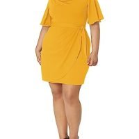 Women's Crepe Desk to Dinner Cowl Neck Dress